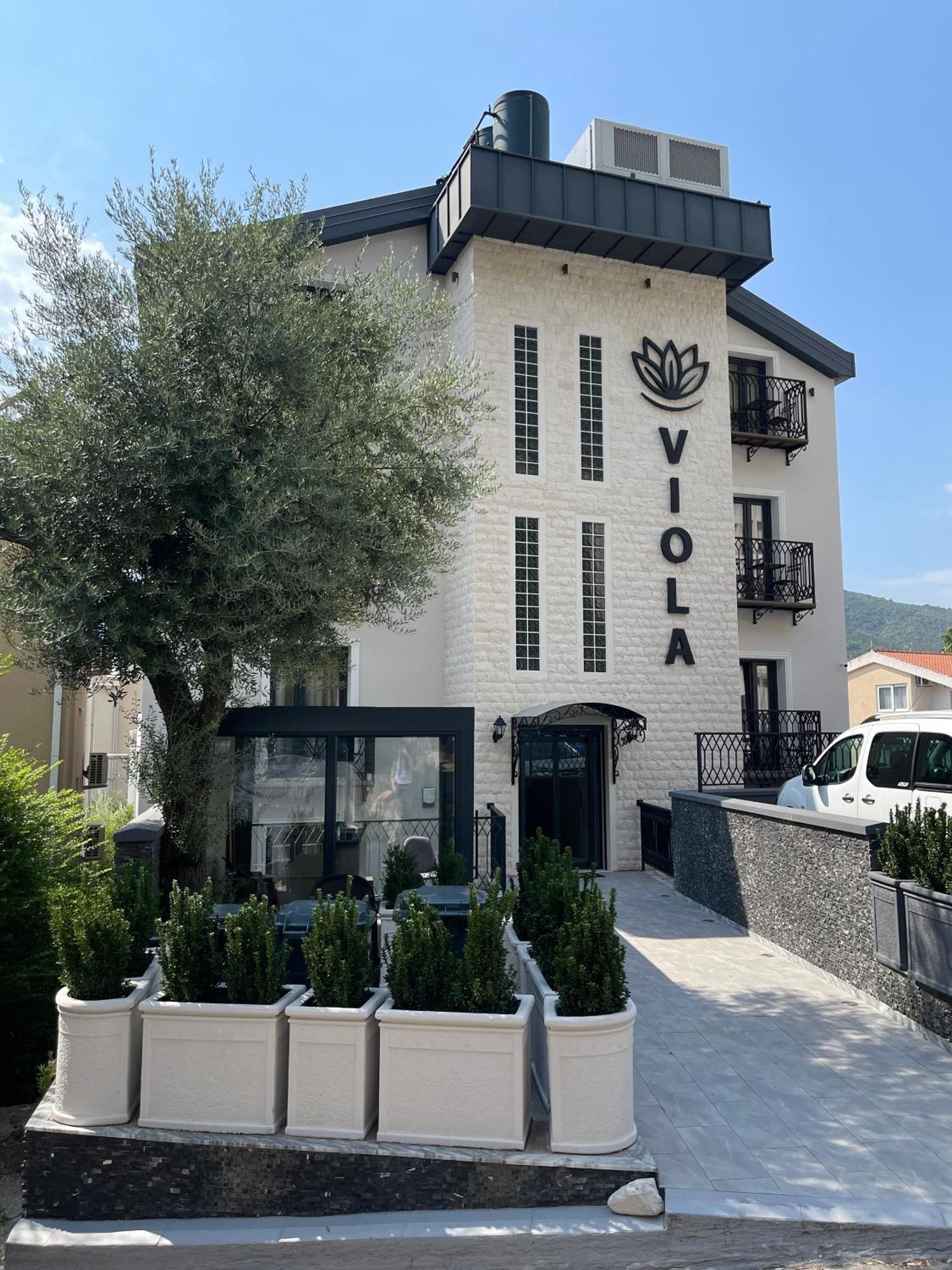 Viola 4* Budva